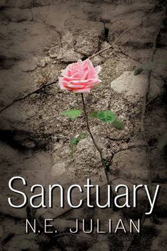 Cover image for Sanctuary