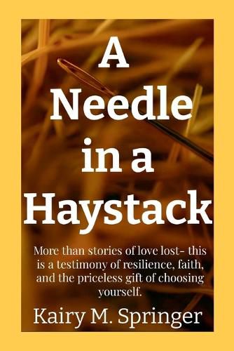 Cover image for A Needle in a Haystack