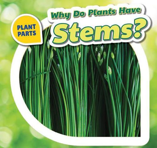 Cover image for Why Do Plants Have Stems?