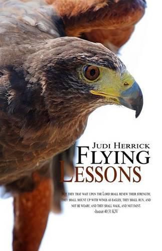 Cover image for Flying Lessons