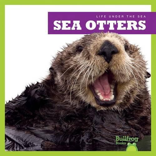 Cover image for Sea Otters