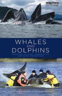 Cover image for Whales and Dolphins: Cognition, Culture, Conservation and Human Perceptions