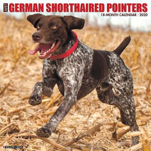 Cover image for Just German Shorthaired Pointers 2020 Wall Calendar (Dog Breed Calendar)