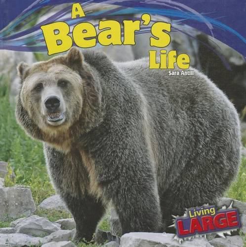 Cover image for A Bear's Life