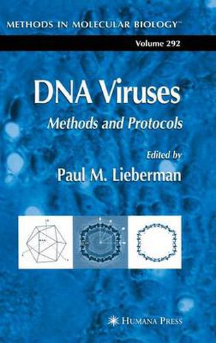 Cover image for DNA Viruses: Methods and Protocols