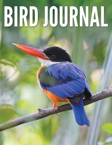 Cover image for Bird Journal