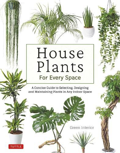 House Plants for Every Space