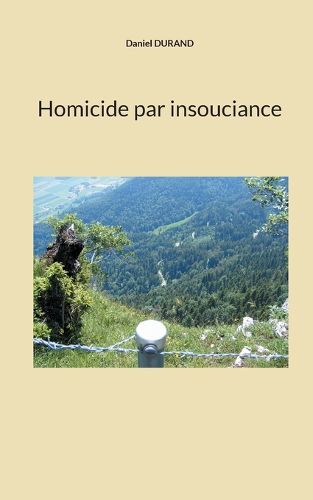 Cover image for Homicide par insouciance