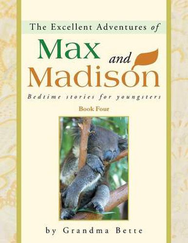 Cover image for The Excellent Adventures of Max and Madison: Bedtime Stories for Youngsters