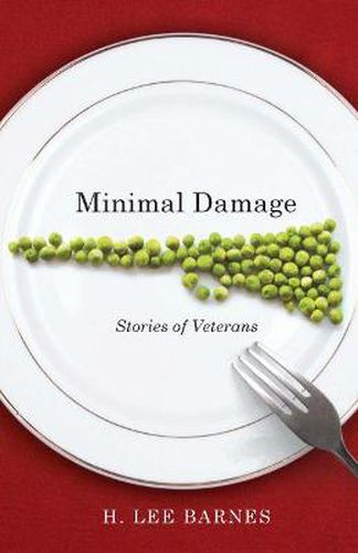 Cover image for Minimal Damage: Stories of Veterans