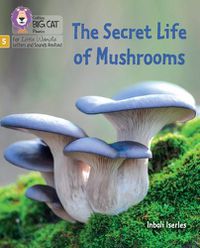 Cover image for The Secret Life of Mushrooms: Phase 5 Set 4 Stretch and Challenge