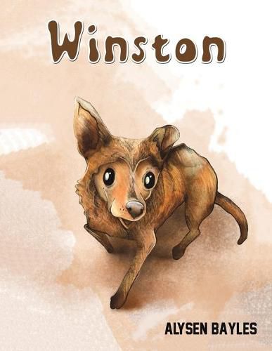 Cover image for Winston