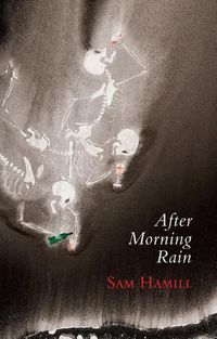 Cover image for After Morning Rain