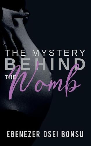 Cover image for Mystery Behind the Womb