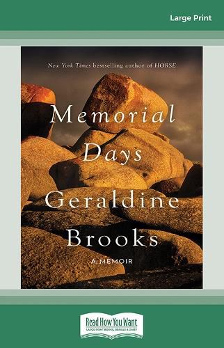 Cover image for Memorial Days