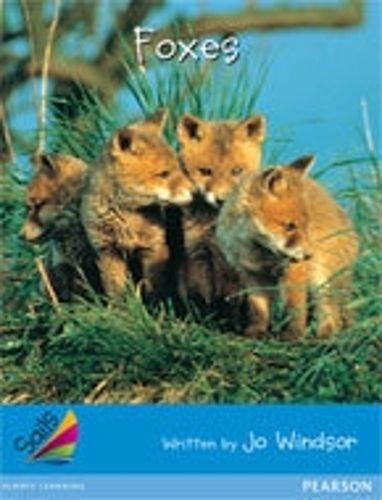 Cover image for Foxes