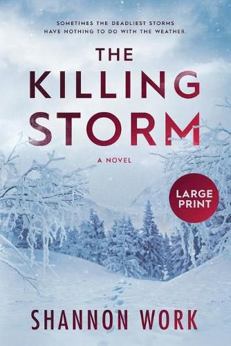 Cover image for The Killing Storm