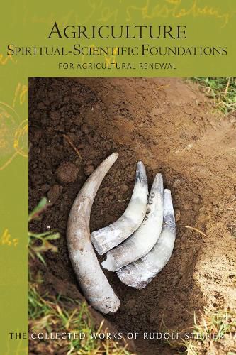 Cover image for Agriculture, Spiritual-Scientific Foundations