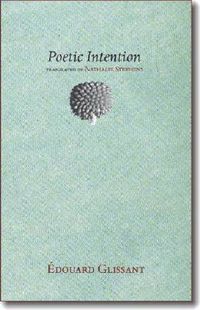 Cover image for Poetic Intention