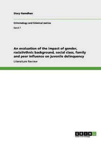 Cover image for An evaluation of the impact of gender, racial/ethnic background, social class, family and peer influence on juvenile delinquency