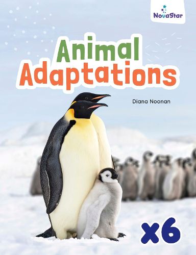 Cover image for Animal Adaptations x 6