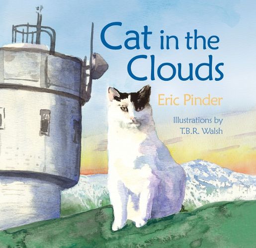 Cover image for Cat in the Clouds