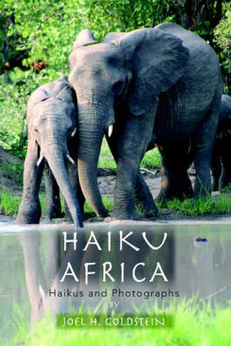 Cover image for Haiku Africa: Haikus and Photographs