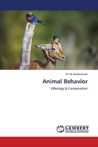 Animal Behavior