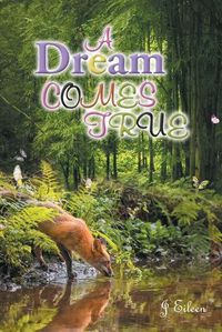 Cover image for A Dream Comes True