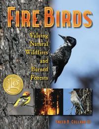 Cover image for Fire Birds
