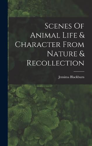 Cover image for Scenes Of Animal Life & Character From Nature & Recollection