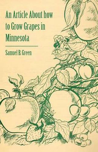 Cover image for An Article About How to Grow Grapes in Minnesota