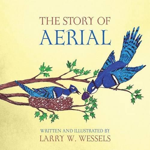 Cover image for The Story of Aerial