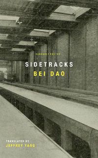 Cover image for Sidetracks