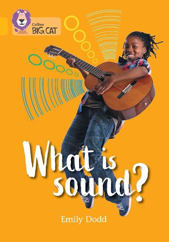Cover image for What is sound?