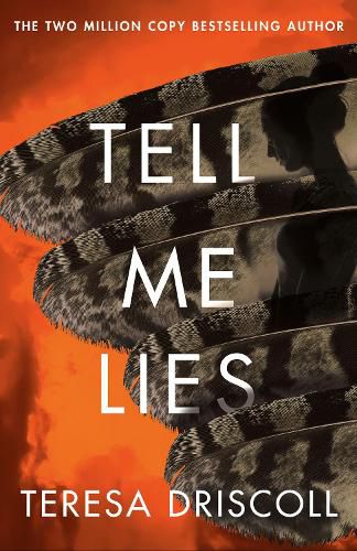 Cover image for Tell Me Lies