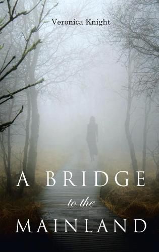 Cover image for A Bridge to the Mainland