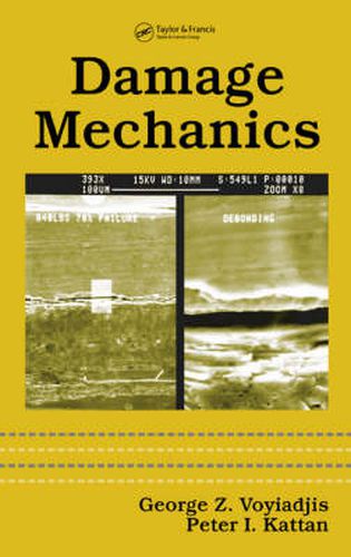 Cover image for Damage Mechanics