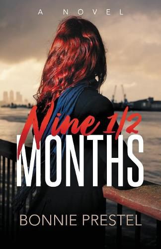 Cover image for Nine 1/2 Months: A Novel