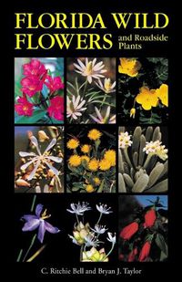 Cover image for Florida Wild Flowers and Roadside Plants