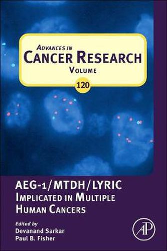 Cover image for Advances in Cancer Research: AEG-1/MTDH/Lyric Implicated in Multiple Human Cancers