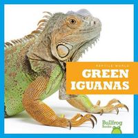 Cover image for Green Iguanas