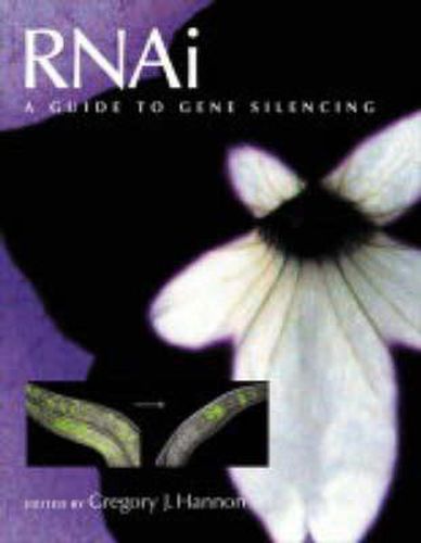 Cover image for RNAi: A Guide to Gene Silencing