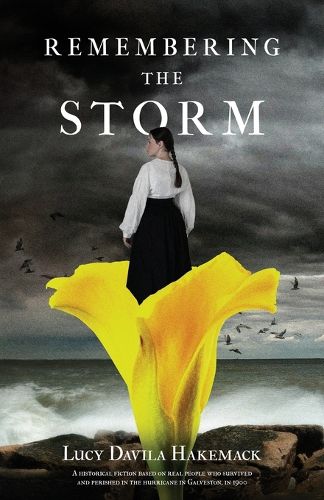 Cover image for Remembering the Storm