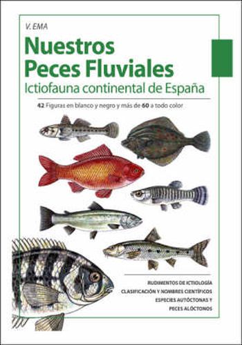 Cover image for Nuestros Peces Fluviales: Ictiofauna Continental De Espana