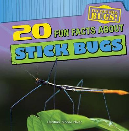 Cover image for 20 Fun Facts about Stick Bugs