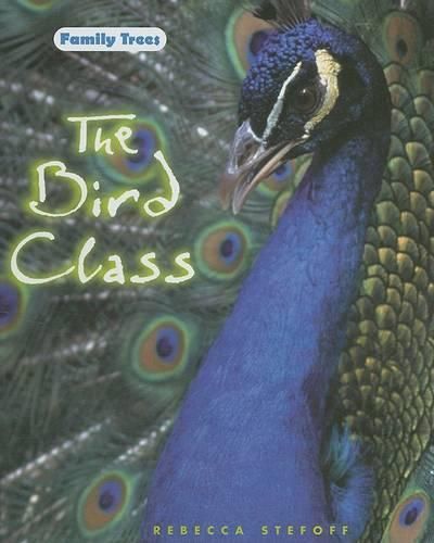 Cover image for The Bird Class