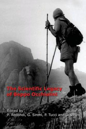 The Scientific Legacy of Beppo Occhialini