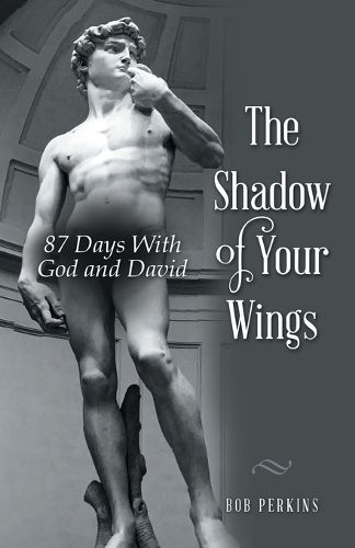 Cover image for The Shadow of Your Wings