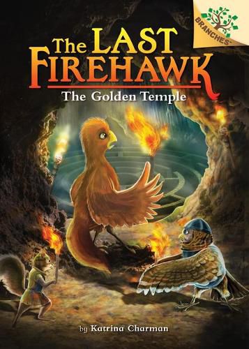 The Secret Maze: A Branches Book (the Last Firehawk #10) (Library Edition): Volume 10